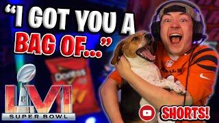 I surprised my dog with the BEST Super Bowl snack of all time... #SHORTS