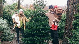 The Elf Has Arrived & Picking Our Christmas Tree With The Family | Vlogmas Day 1