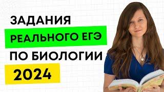 РАЗБОР ЗАДАНИЙ РЕАЛЬНОГО ЕГЭ ПО БИОЛОГИИ 2024