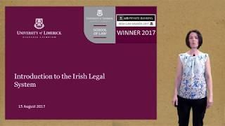 Lecture 1 The Irish legal system