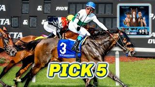 Tampa Bay Downs Preview & FREE Pick 5 Bets | The Magic Mike Show 583