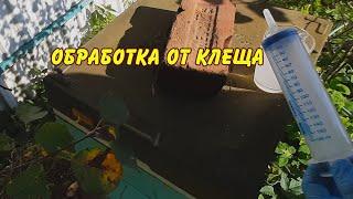 пасека, обработка от клеща