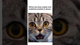  true #trading #cryptotrading #bitcoin #cryptogenius #crypto #blockchain #cryptocurrency #ethereum