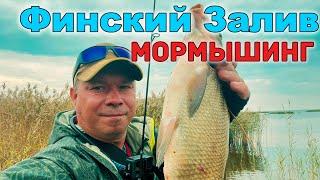 ЗДОРОВЫЕ ЛЕЩИ, Краснопёрка и другие РЫБЫ!Мормышинг. Финский залив. #мормышинг #nanojig #рыбалка