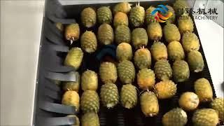 pineapple juice production line fruit juice extractor machine