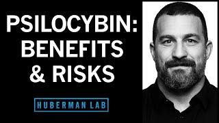 How Psilocybin Can Rewire Our Brain, Its Therapeutic Benefits & Its Risks | Huberman Lab Podcast