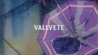 Vallvete - when the party's over - slowed + reverb