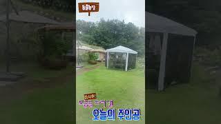 못난이형제!!     #하루또이틀