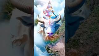 Embracing the Divine: Bholenath Blessings ️"#Bholenath #LordShiva #DivineBlessings #HarHarMahadev