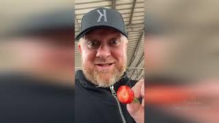 Константин Ивлев на Армавирском рынке