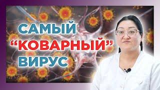 Вирус Эпштейна-Барра | Инфекционный мононуклеоз