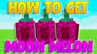 How To Get Moon Melon Seeds WITHOUT Event Grow A Garden! Moon Melon Method! (Grow A Garden)