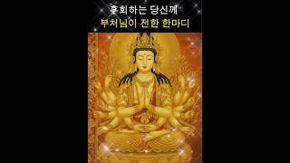 과거를 후회하지 마세요 – 부처님 말씀 한 구절이 삶을 바꿉니다