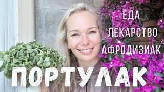 БЕСПЛАТНАЯ ЕДА,  лекарство для мужчин и женщин из сорняков на огороде