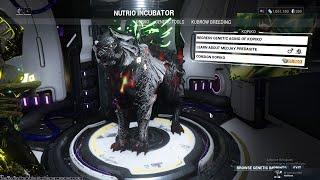 Huras Kubrow and Medjay Predasite Damage Test