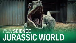 5 Science Facts 'Jurassic World' Totally Ignored