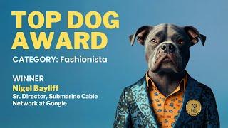 Top Dog Awards – Fashionista