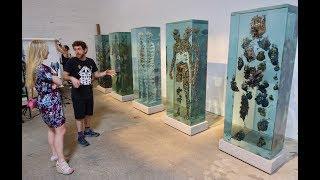 Dustin Yellin Studio Tour