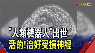 不是科幻電影! 人體細胞真做成機器人了 研究初期就能活60天 未來有望治癒傷口或受損組織｜非凡財經新聞｜20231201