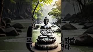 타인을 이해하는 법-부처님 좋은말씀 #명언 #명언모음 #불교 #불교지혜 #부처님말씀