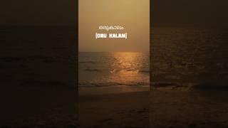Golden Hour Feels with Mizhiyoram Lyrics #youtubeshorts #viralvideo #viral #evening #love #sky
