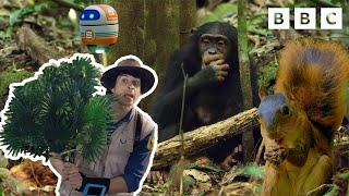 Animals That Love To Eat with Andy’s Global Adventures | CBeebies