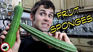 LUFFA : The Natural Sponge You Can EAT - Weird Fruit Explorer Ep 355