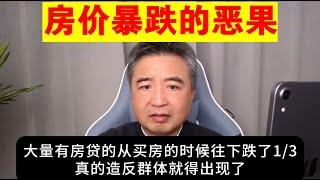 翟山鹰：房价暴跌的恶果丨如果房价暴跌1/3 人民会造反吗丨房地产