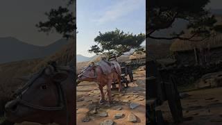 추억의#소달구지가 있는 #낙안읍성..(818)mp4
