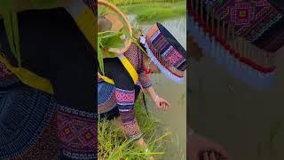 Tik Tok || Nkauj Hmoob Lub Neej Toj Siab P35