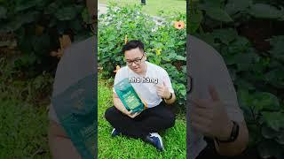 Khám Phá Bí Quyết Uống Trà Nguyên Chất Cùng NewTea