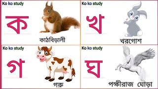 ক খ গ ঘ বাংলা বর্ণমালা শিক্ষা। ক'য় কাঠবিড়ালী। Bangla alphabet