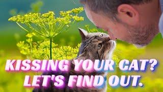 DO YOU KISS YOUR CAT? DISCOVER WHAT IT MEANS TO HIM ️