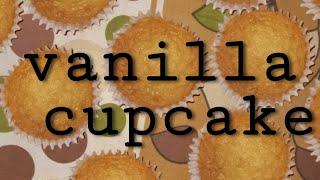 Make the easiest cupcakes at home|little magic touch