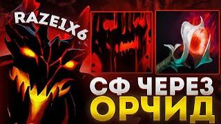 RAZE1X6 РЕШИЛ ЗАТЕСТИТЬ СФА ЧЕРЕЗ ОРЧИД | DOTA 1X6 SHADOW FIEND Q