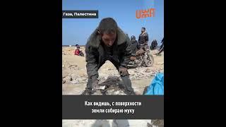 Не успели за гум помощью, собираю рассыпанную муку