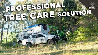 Tasmanian Tree Care - Professional tree care solutions