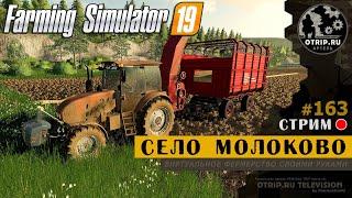 Farming Simulator 19 ● Карта Село Молоково / стрим 163