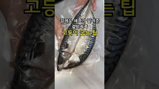 겉바속촉 고등어 맛있게 굽는 팁 똑같이 따라했는데...