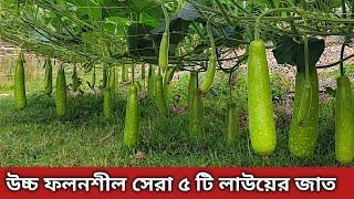 Top 5 Gourd Varieties Introduction and Hybrid Gourd Cultivation Method