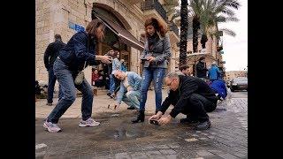 סדנת צילום בסמארטפון וטעימות בשוק הפשפשים | piccell | אמדוקס