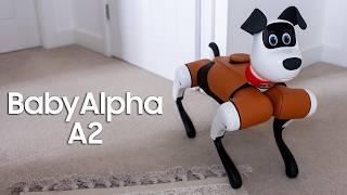 This Pet Dog Is So Lifelike! BabyAlpha Review!