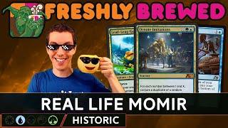  Freshly Brewed: Episode 98  - Simic Ornate Imitations - 🟢 - Historic