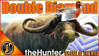 Diamond Cape Buffalo with the Bow! + Diamond Wigeon! | Call of the Wild