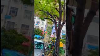 pahli barish ️ patna vlogs #shorts #beautiful #vlogger #vlog #vlogging