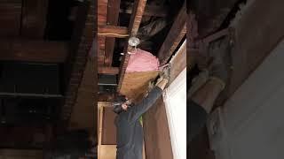Ceiling Insulation Tips - #shorts