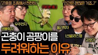 곰팡이에 감염되면 높은 곳을 찾게 되는 이유 (조종당하는 곤충들..) | 과학을 보다 EP.98