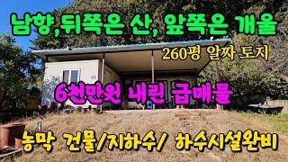 농막 갖춘 260평 알짜 양평 토지 땅 부동산 매매 매물 급매 급매매 급매물