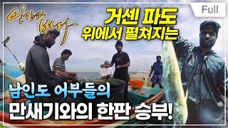 [Full] 인간과 바다 - 인도양의 금빛 만새기를 잡다,  남인도 어부들