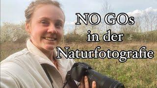 NO-GOs in der Naturfotografie  + einige Zugvögel kommen langsam zurück